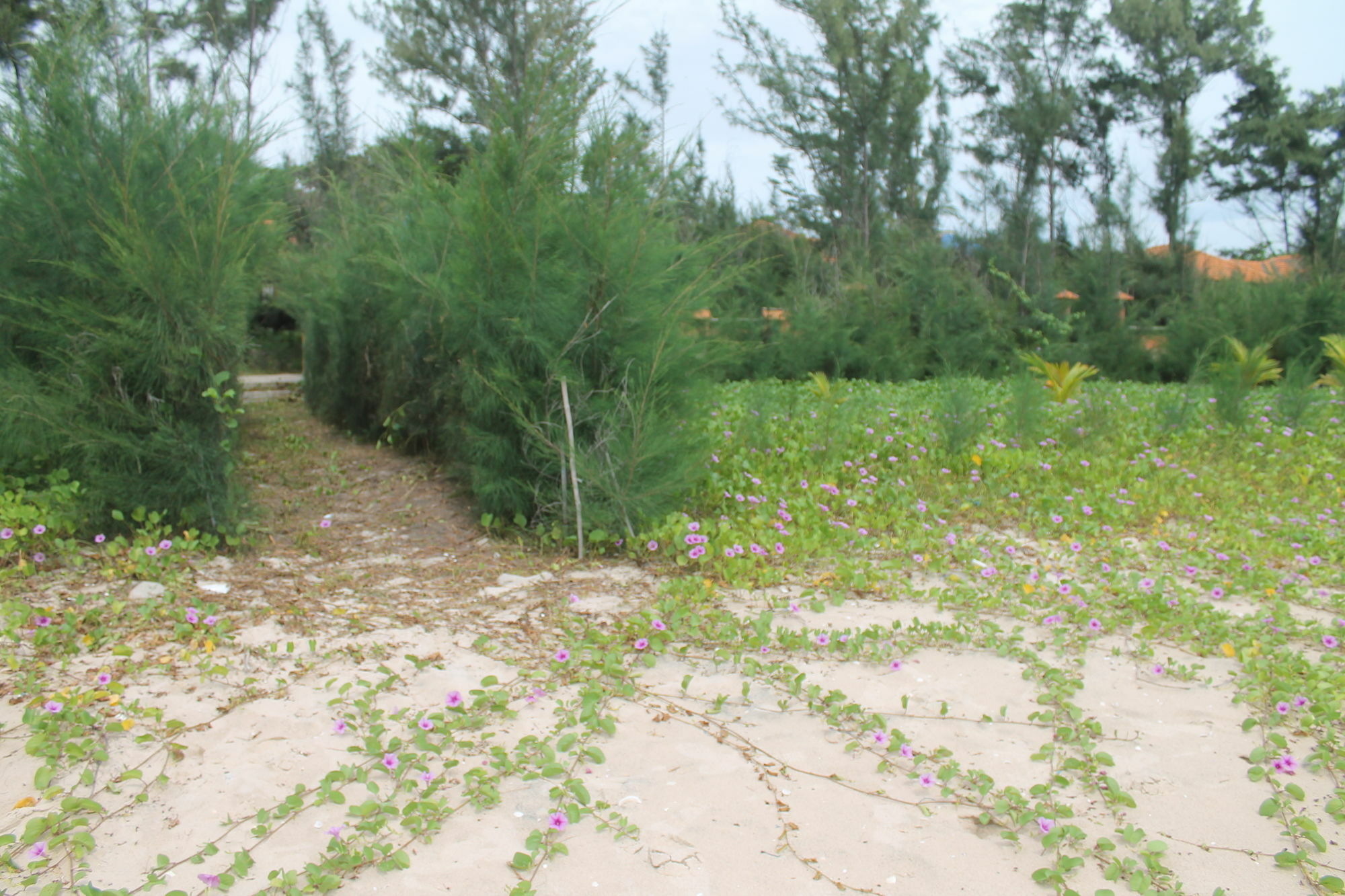 Doi Su Resort Ham Thuan Nam Dış mekan fotoğraf