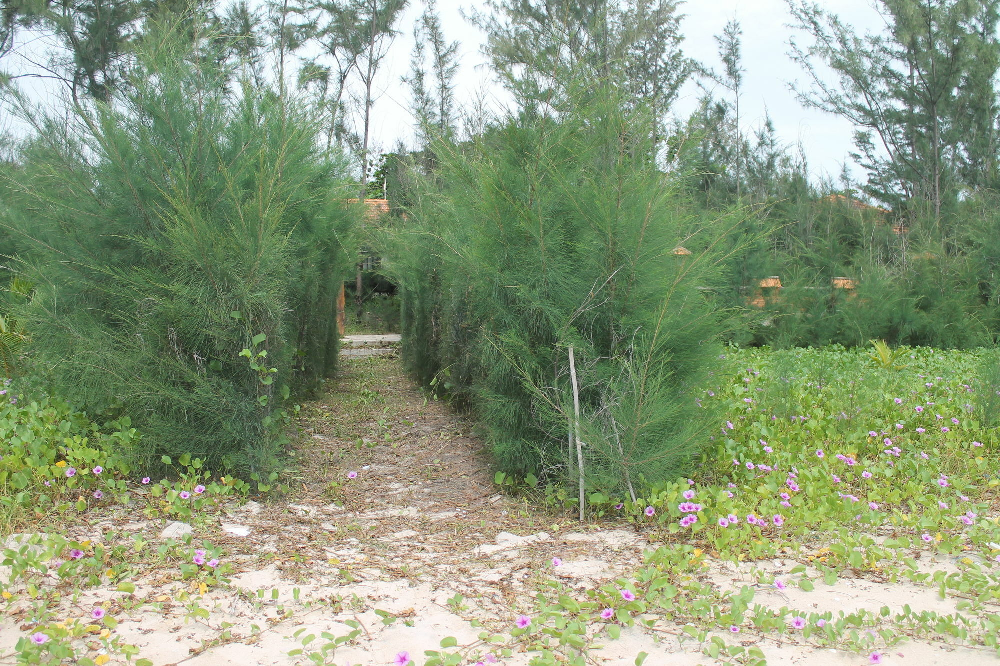 Doi Su Resort Ham Thuan Nam Dış mekan fotoğraf